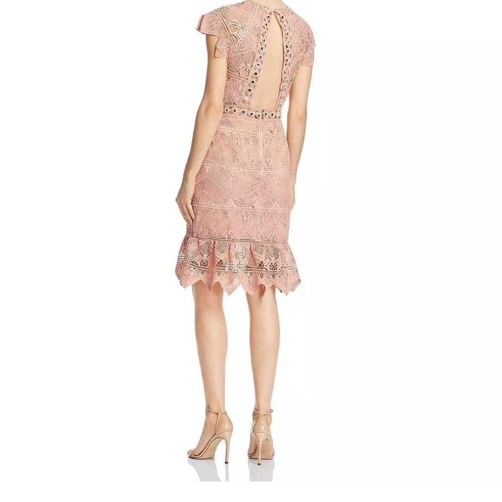 Saylor Joah Lace Embellished Party Sheath Dress